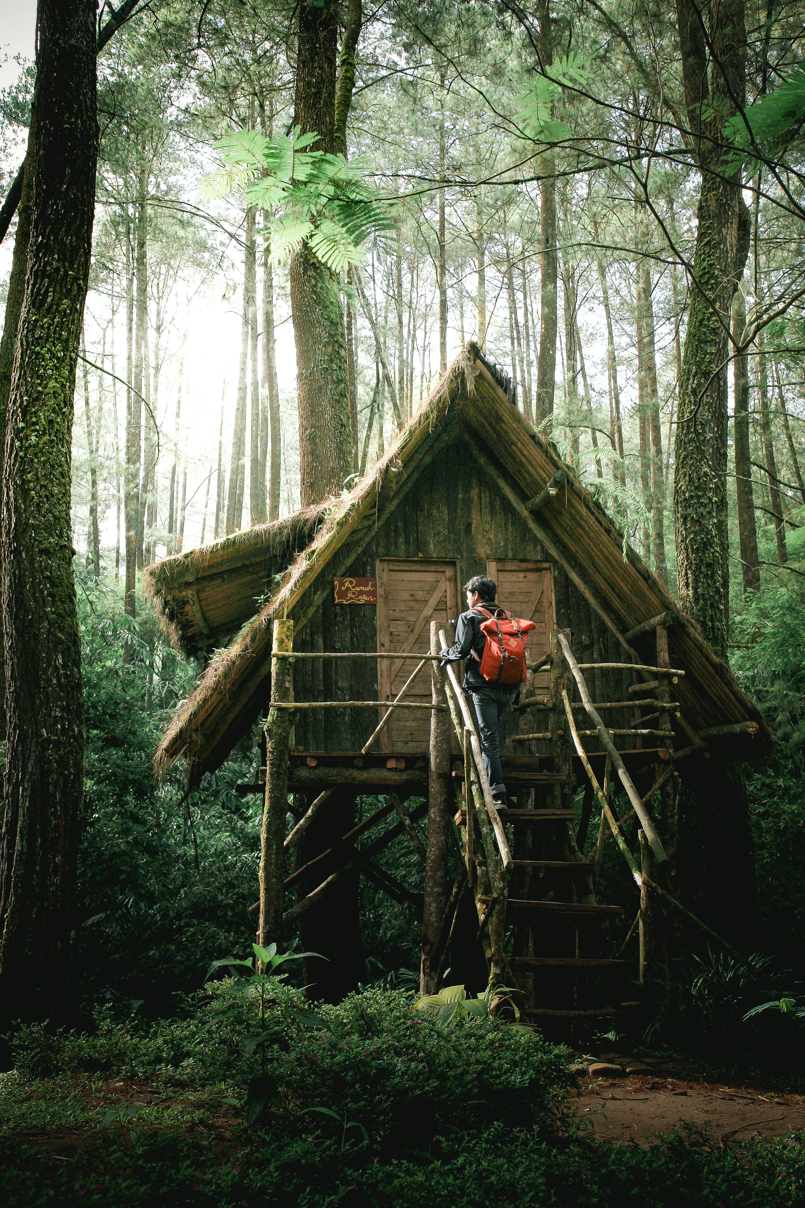 treehouse